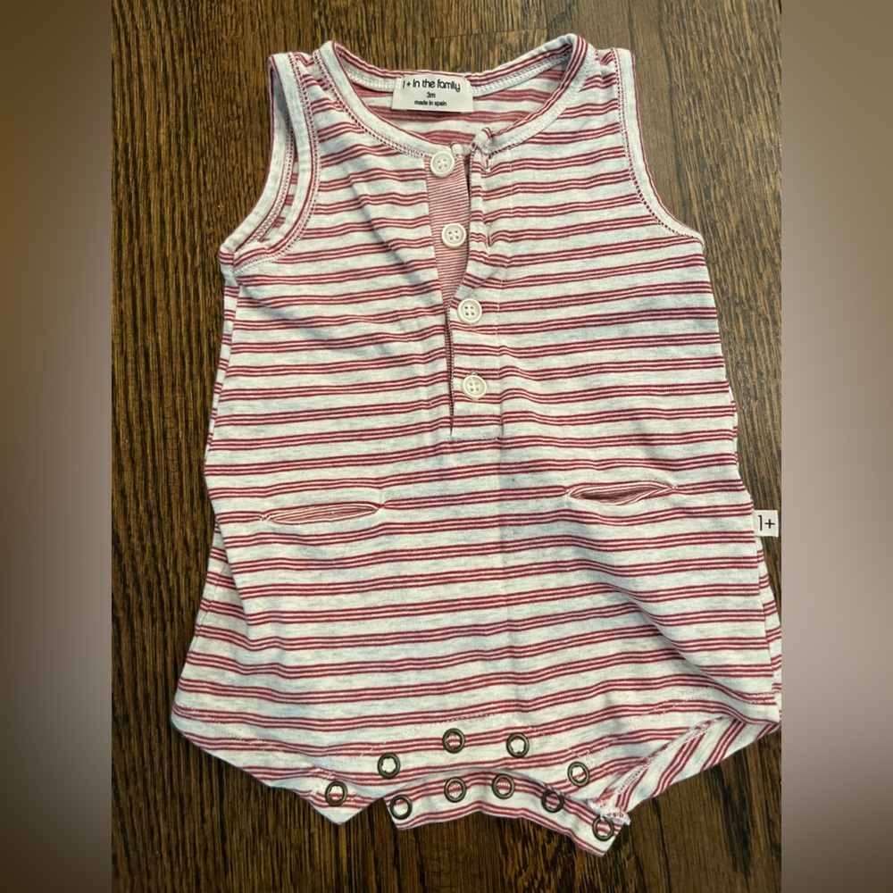 1+ in the Family onesie